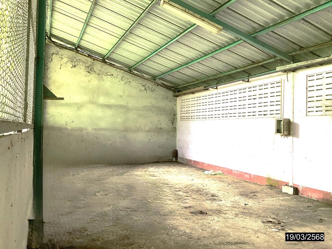 picture FACTORY for sale  Na Kratam Tha Sae Chumphon - 39/74