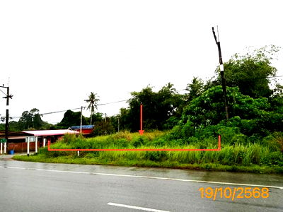 Land for sale Ao Luk Krabi : LAND for sale  Khlong Hin Ao Luk Krabi