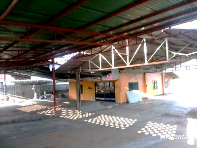 บ้านเดี่ยว เชียงใหม่ : บ้านเดี่ยว สำหรับขาย - ขี้เหล็ก แม่แตง เชียงใหม่