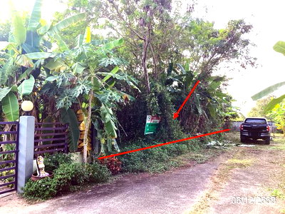 ที่ดินว่างเปล่า 280.4 ตร.วา แม่ลาว เชียงราย 2M