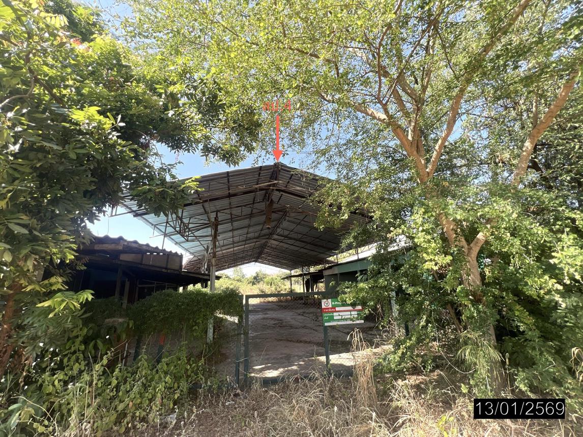 picture FACTORY for sale  Kut Chum Kut Chum Yasothon - 40/64