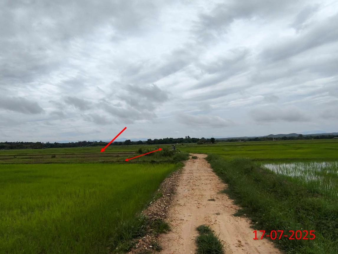 รูป ที่ดินว่างเปล่า สำหรับขาย - เมืองยาว ห้างฉัตร ลำปาง - รูปที่ 16/22