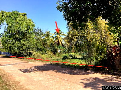 Land for sale : LAND for sale  Sri Wilai null Nongkai