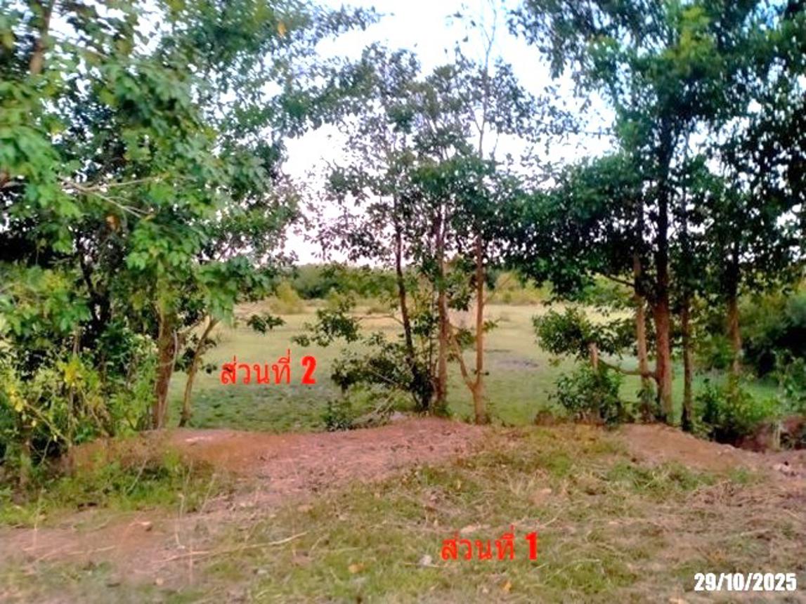 รูป ที่ดินว่างเปล่า สำหรับขาย - โนนสมบูรณ์ เมืองบึงกาฬ บึงกาฬ - รูปที่ 14/20