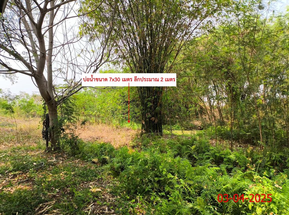 รูป บ้านเดี่ยว สำหรับขาย - อุโมงค์ เมืองลำพูน ลำพูน - รูปที่ 43/48