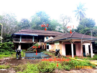 Houses for sale Nakhon Sri Thammarat : HOME for sale  Thon Hong Phrommakhiri Nakhon Sri Thammarat