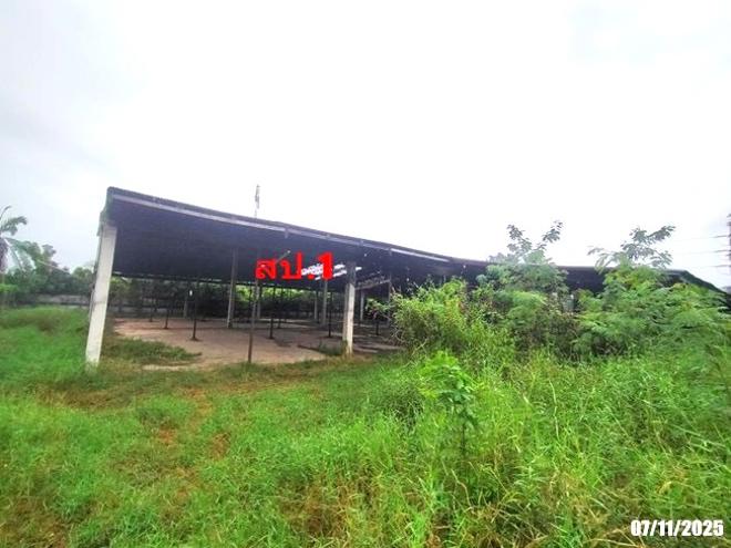 รูป อาคารสำนักงาน สำหรับขาย - หนองบัว เมืองหนองบัวลำภู หนองบัวลำภู - รูปที่ 25/56