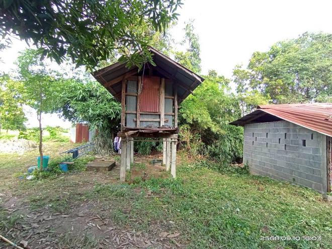 รูป บ้านเดี่ยว สำหรับขาย - โคกสะอาด ฆ้องชัย กาฬสินธุ์ - รูปที่ 14/32