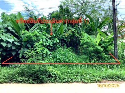Land for sale Trang : LAND for sale  Yan Ta Khao Yan Ta Khao Trang