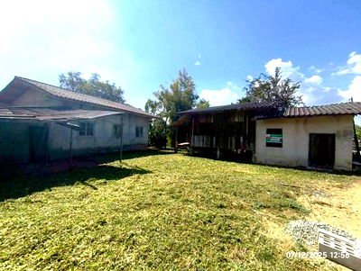 Houses for sale Dok Kham Tai Phayao : HOME for sale  Huai Lan Dok Kham Tai Phayao