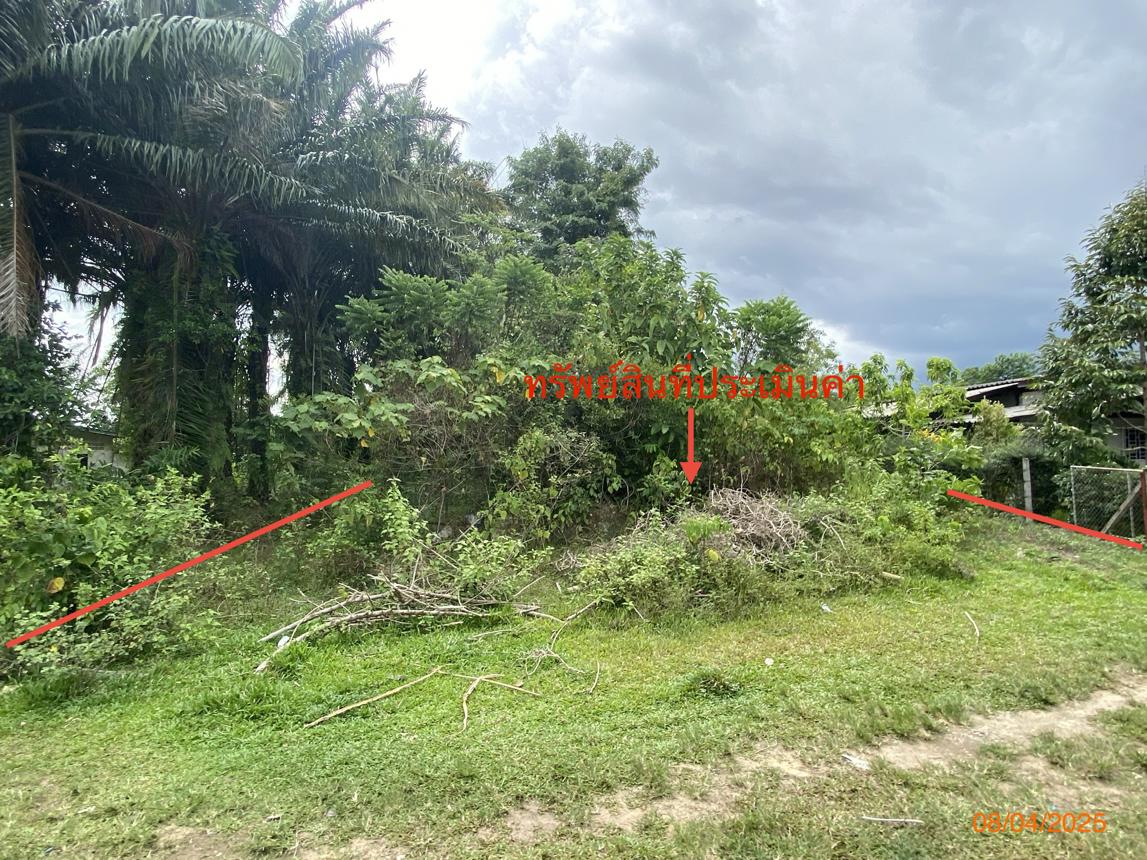 รูป ที่ดินว่างเปล่า สำหรับขาย - บางเป้า กันตัง ตรัง - รูปที่ 9/18