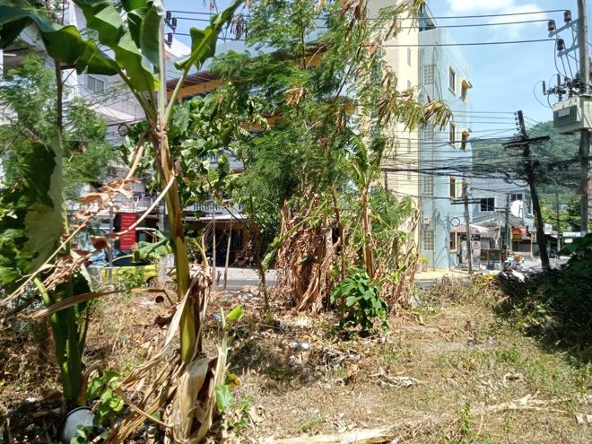 picture LAND for sale Patong Kathu Phuket - 8/20