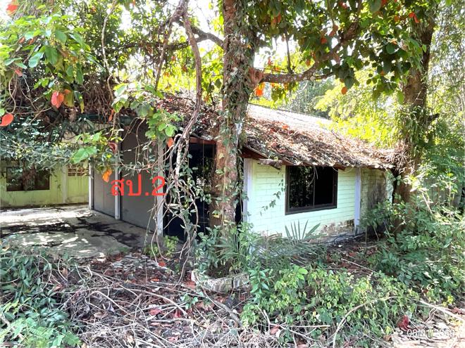 รูป บ้านเดี่ยว สำหรับขาย - ชัยพร เมืองบึงกาฬ บึงกาฬ - รูปที่ 8/52