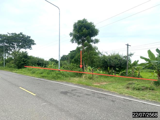 รูป ที่ดินว่างเปล่า สำหรับขาย - เหนือ เมืองกาฬสินธุ์ กาฬสินธุ์ - รูปที่ 2/16