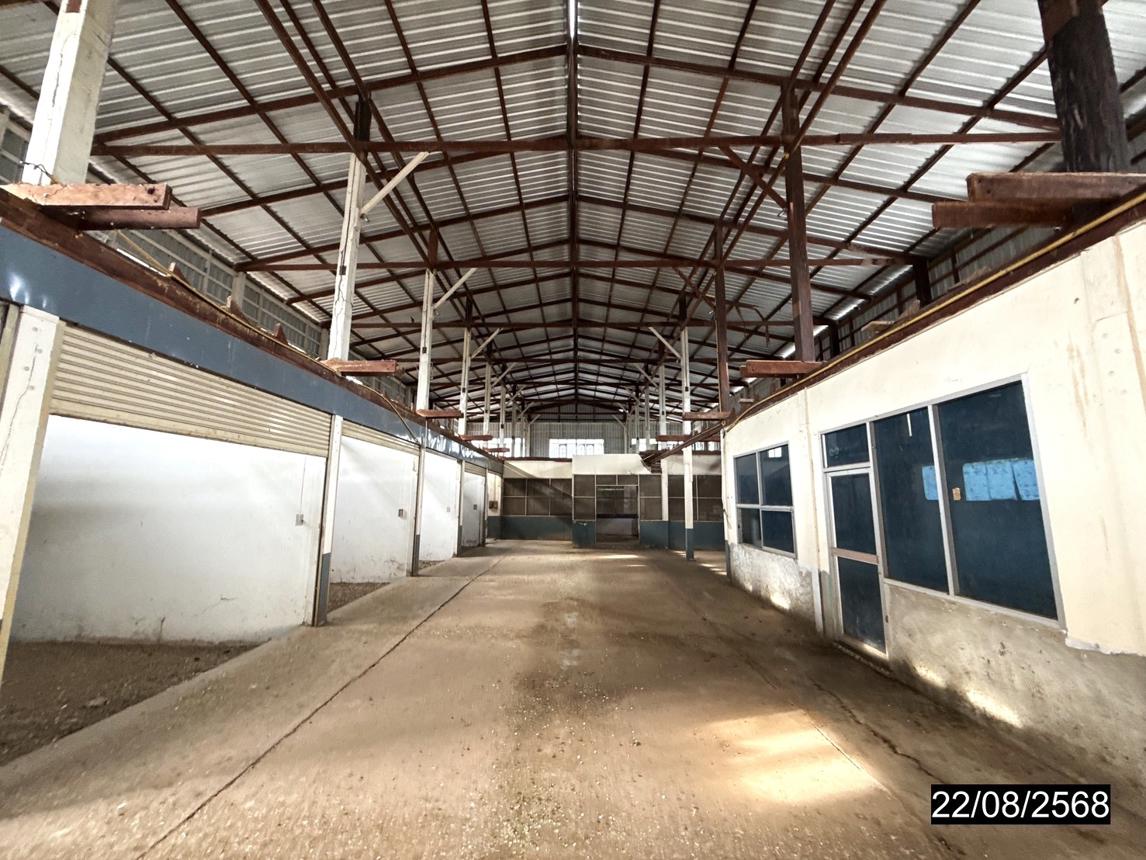 รูป อาคารโรงงาน สำหรับขาย - กุดชุมแสง หนองบัวแดง ชัยภูมิ - รูปที่ 23/44