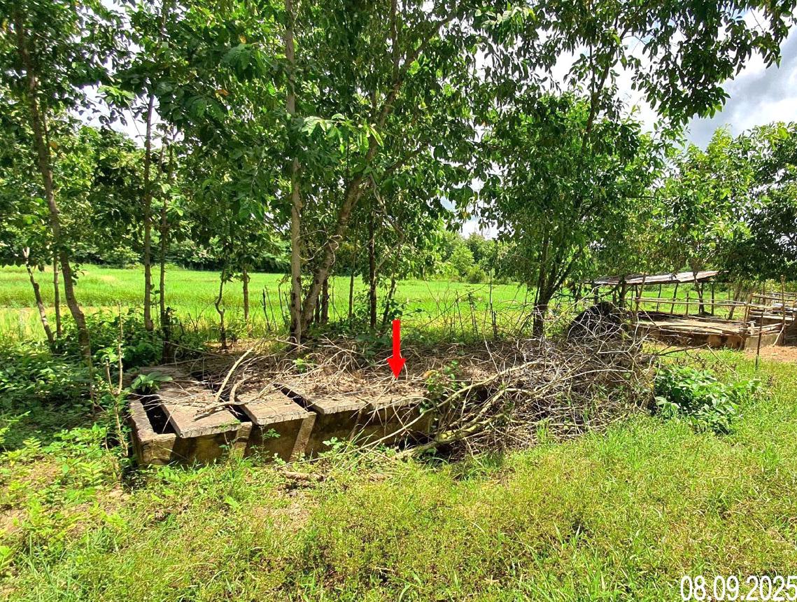 รูป อาคารโรงงาน สำหรับขาย - ทุ่งโฮ้ง เมืองแพร่ แพร่ - รูปที่ 31/38