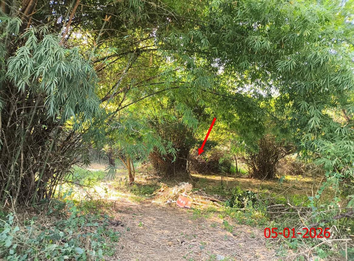 รูป ที่ดินว่างเปล่า สำหรับขาย - วังพร้าว เกาะคา ลำปาง - รูปที่ 15/24