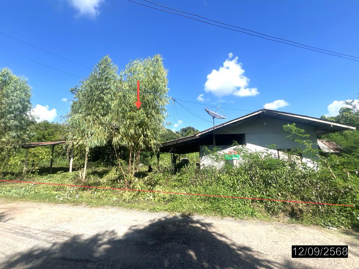 รูป บ้านเดี่ยว สำหรับขาย - หนองขอน เมืองอุบลราชธานี อุบลราชธานี - รูปที่ 31/36