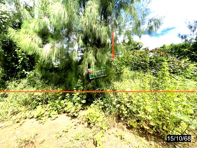Land for sale Chaiyaphum : LAND for sale  Nong Bua Yai Chatturat Chaiyaphum