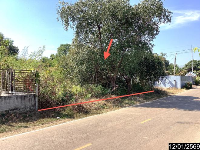 picture LAND for sale  Sri Wilai null Nongkai - 2/20