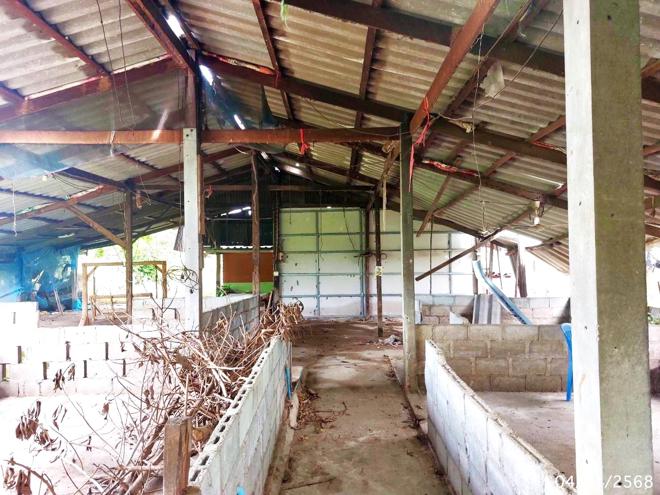 picture HOME for sale Don Pru Sri Prachan Suphanburi - 12/36