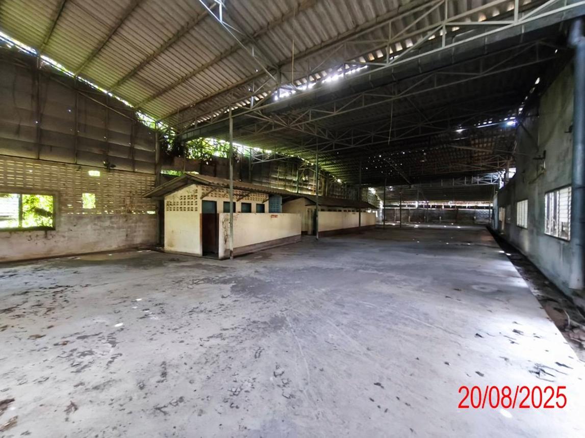 รูป อาคารโรงงาน สำหรับขาย - กล้วยแพะ เมืองลำปาง ลำปาง - รูปที่ 40/44