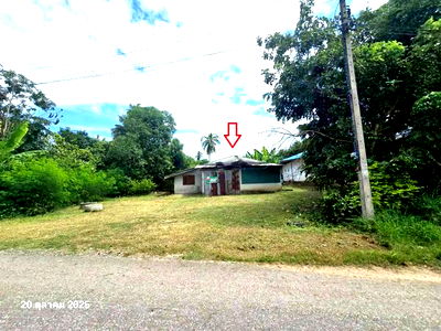 บ้านเดี่ยว กำแพงเพชร : บ้านเดี่ยว สำหรับขาย - ป่าพุทรา ขาณุวรลักษบุรี กำแพงเพชร