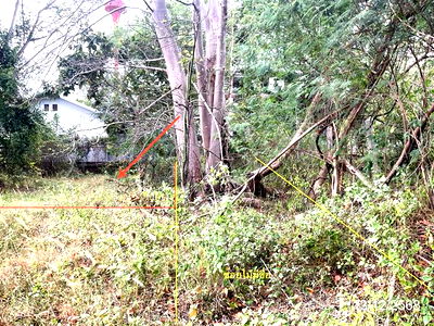 Land for sale Sakon Nakhon : LAND for sale  Chiang Khrua Muang Sakon Nakhon Sakon Nakhon