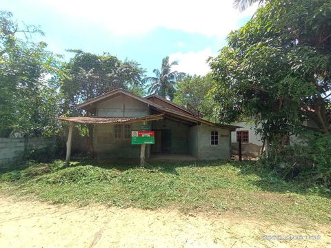 บ้านเดี่ยว สำหรับขาย - หัวงัว ยางตลาด กาฬสินธุ์