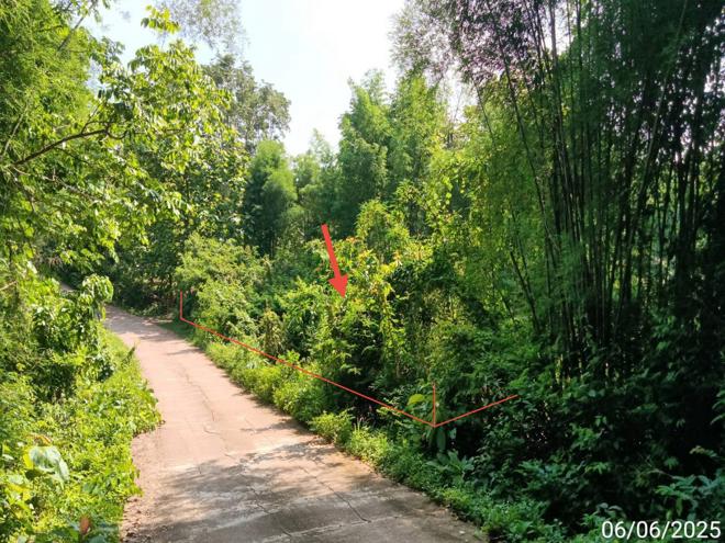 รูป ที่ดินว่างเปล่า สำหรับขาย - หัวทุ่ง ลอง แพร่ - รูปที่ 7/24