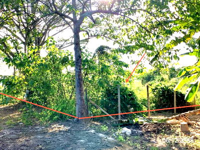 Land for sale Chiang Rai : LAND for sale  Dong Mada Mae Lao Chiang Rai