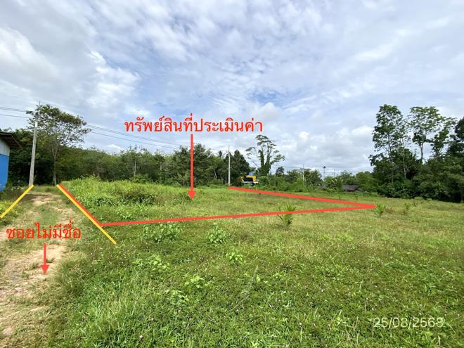 รูป ที่ดินว่างเปล่า สำหรับขาย - บ้านลำนาว บางขัน นครศรีธรรมราช - รูปที่ 5/16