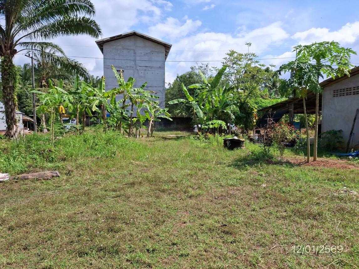 picture LAND for sale  Khao Phanom Khao Phanom Krabi - 17/22