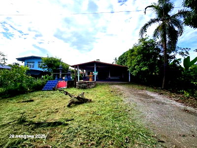 Houses for sale Thong Saen Khan Uttaradit : HOME for sale  Phak Khuang Thong Saen Khan Uttaradit