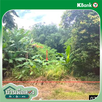 รูป ที่ดินว่างเปล่า สำหรับขาย - ขุนทะเล เมืองสุราษฎร์ธานี สุราษฎร์ธานี - รูปที่ 18/20