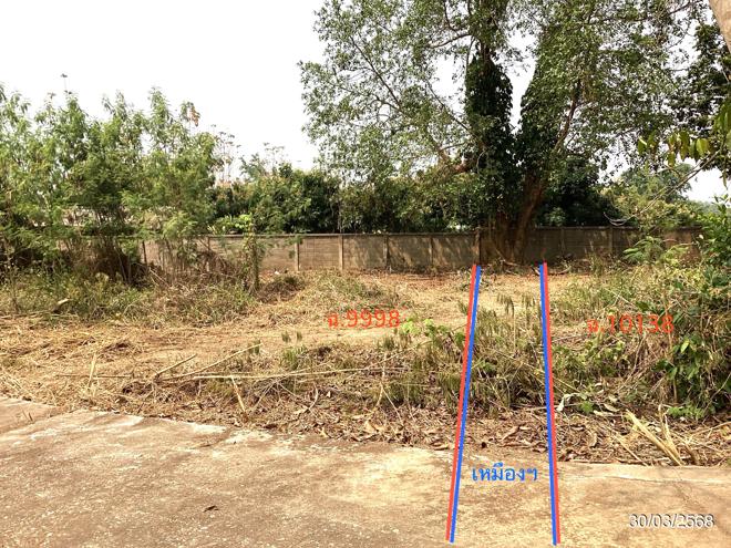 picture FACTORY for sale Mae Plik Mae Sa-ruai Chiang Rai - 7/22