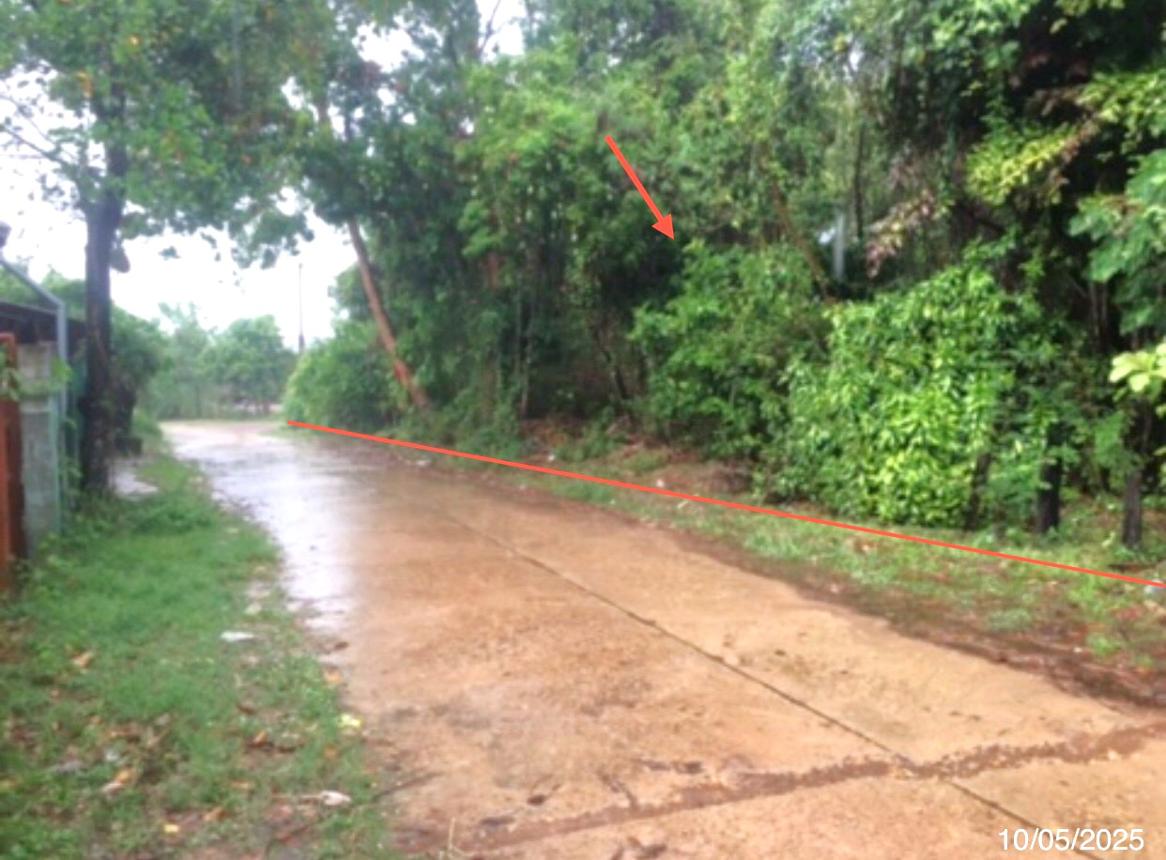 รูป ที่ดินว่างเปล่า สำหรับขาย - ไม้กลอน พนา อำนาจเจริญ - รูปที่ 7/14
