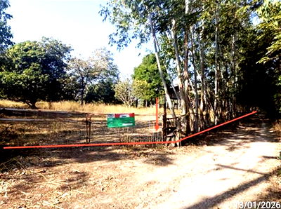 Houses for sale Phon Thong Roi Et : HOME for sale  Pho Sri Sawang Phon Thong Roi Et