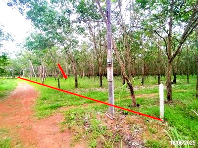Land for sale : LAND for sale  Na Saeng null Nongkai