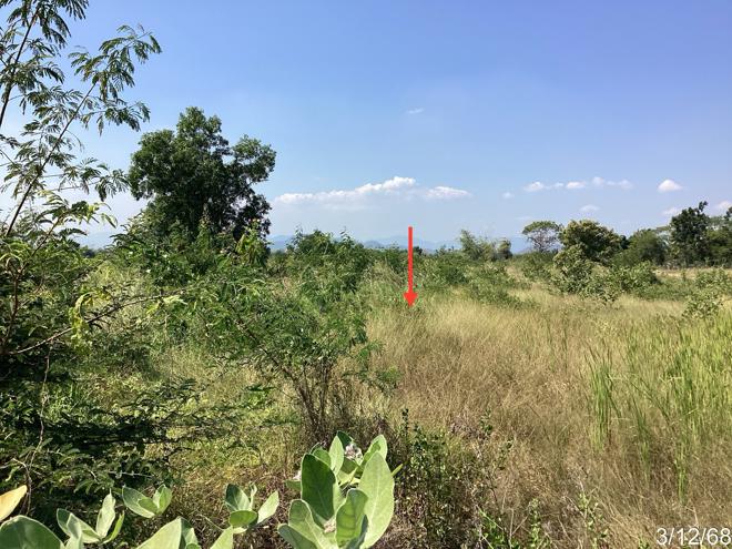 รูป ที่ดินว่างเปล่า สำหรับขาย - บ่อนอก เมืองประจวบคีรีขันธ์ ประจวบคีรีขันธ์ - รูปที่ 6/24