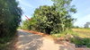 listing thumbnail image 23