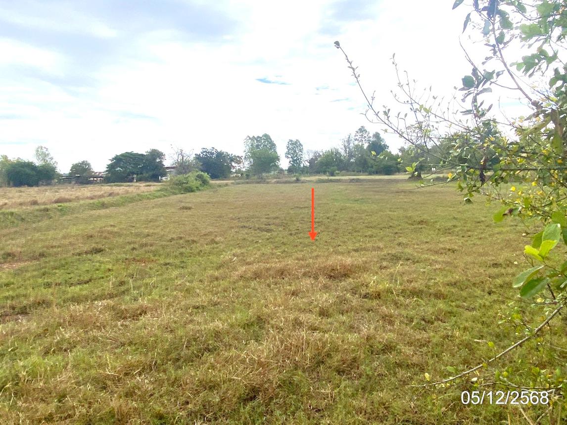 รูป ที่ดินว่างเปล่า สำหรับขาย - หนองซอน เชียงยืน มหาสารคาม - รูปที่ 16/20