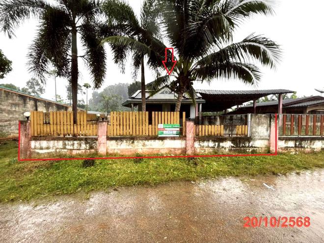 รูป บ้านเดี่ยว สำหรับขาย - บางสวรรค์ พระแสง สุราษฎร์ธานี - รูปที่ 1/22