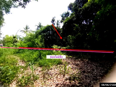 LAND 179 Sq.w. Song Dao Sakon Nakhon for 358,000