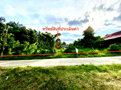 ที่ดิน วิทยาลัยพยาบาลบรมราชชนนีนครศรีธรรมราช : ที่ดินว่างเปล่า สำหรับขาย - ช้างซ้าย พระพรหม นครศรีธรรมราช