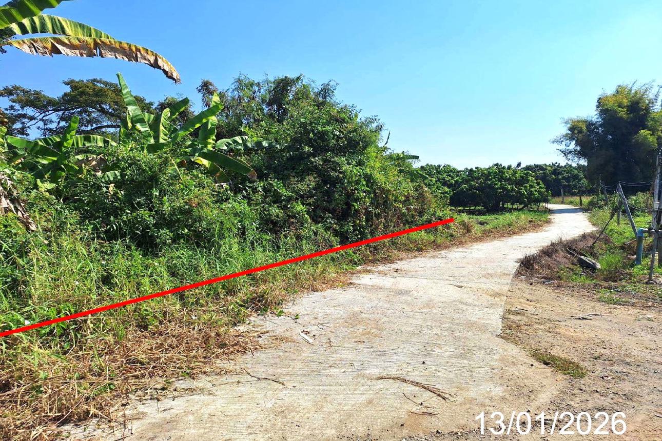 รูป ที่ดินว่างเปล่า สำหรับขาย - น้ำดิบ ป่าซาง ลำพูน - รูปที่ 12/24