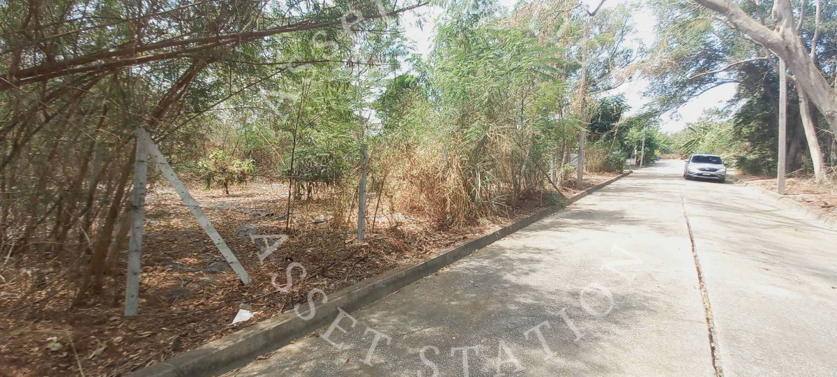 รูป ✨ที่ดินเปล่า ในหมู่บ้าน Sivalee Rangsit 1 ทำเลดี เหมาะกับปลูกสร้างหรือทำธุรกิจ💎 - รูปที่ 3/8