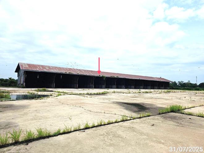 รูป โกดัง สำหรับขาย - ไผ่รอบ โพธิ์ประทับช้าง พิจิตร - รูปที่ 19/50