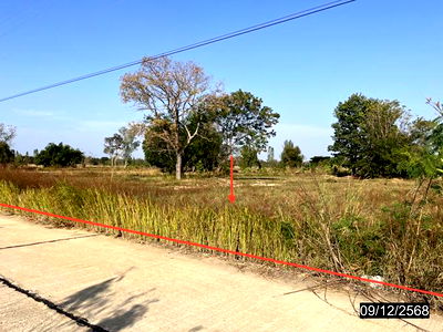 ที่ดิน เชียงยืน มหาสารคาม : ที่ดินว่างเปล่า สำหรับขาย - ดอนเงิน เชียงยืน มหาสารคาม