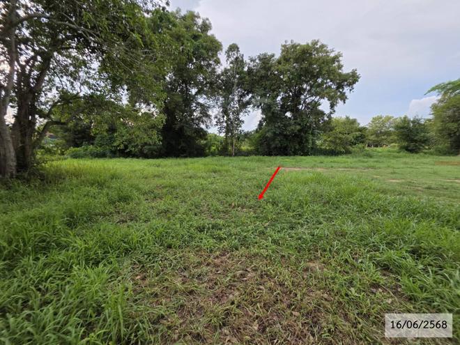 รูป ที่ดินว่างเปล่า สำหรับขาย - ปลาโหล วาริชภูมิ สกลนคร - รูปที่ 10/24